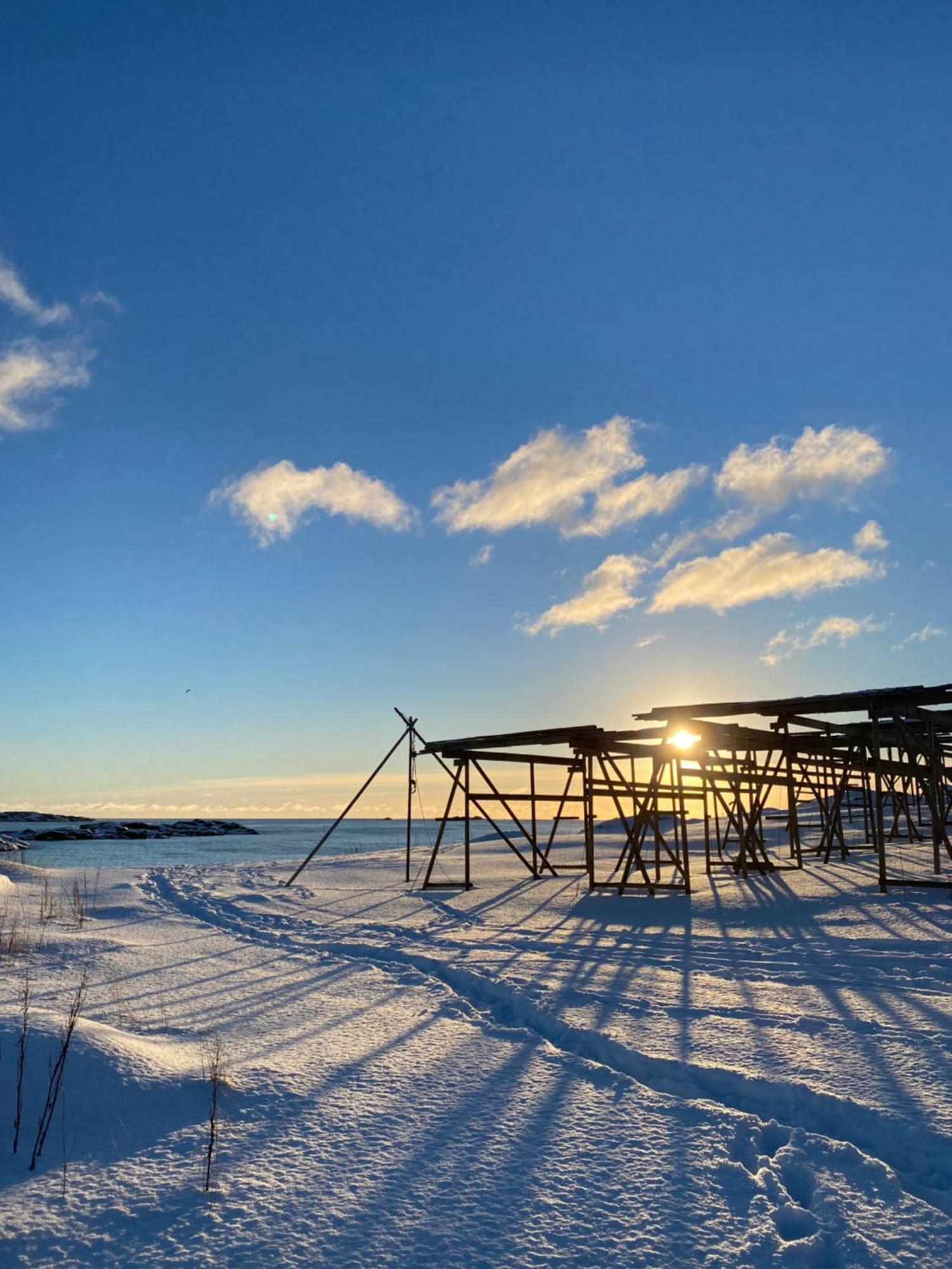 Superior Cabin Ballstad Lofoten Exterior foto